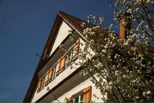 Apartament Haus Oyben Bad Hindelang Zewnętrze zdjęcie
